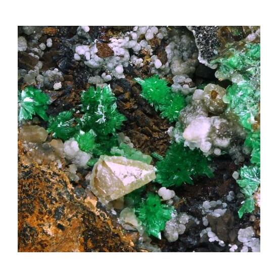 Annabergite Calcite & Psilomelane