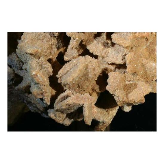 Baryte Var Desert Rose