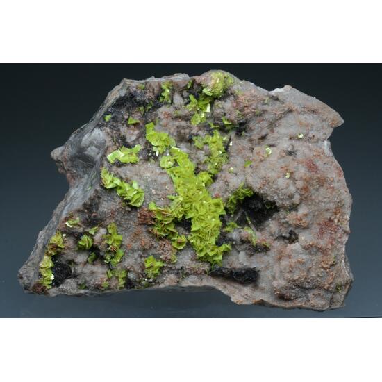 Uranocircite