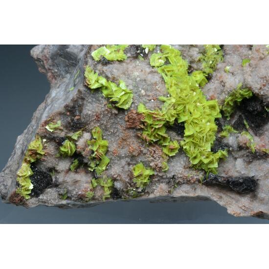 Uranocircite