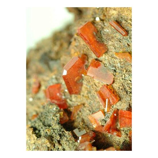 Wulfenite