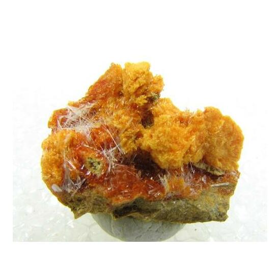 Botryogen & Parabutlerite & Halotrichite