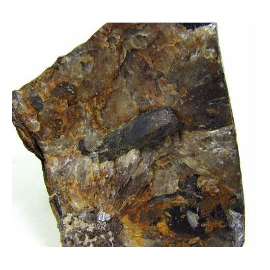 Fergusonite-(Y)