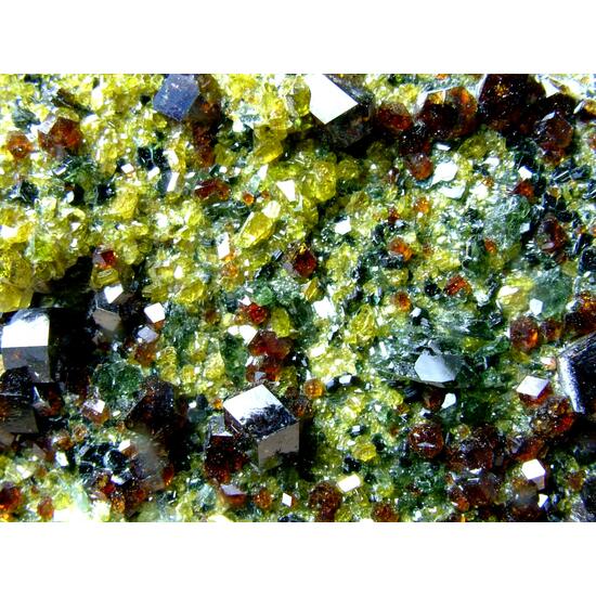 Andradite With Diopside Epidote & Clinochlore