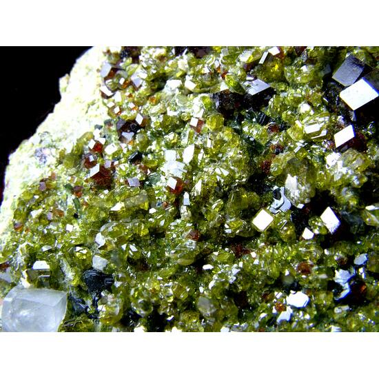 Andradite With Diopside Epidote & Clinochlore