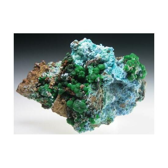 Conichalcite & Arsenocrandallite