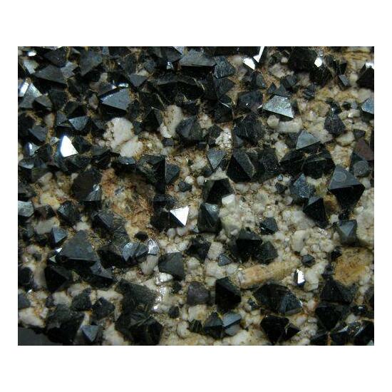 Magnetite With Feldspar Group & Quartz