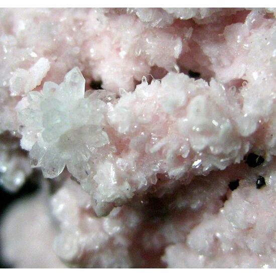 Rhodochrosite & Quartz