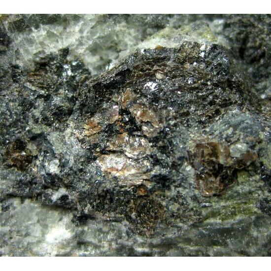 Zirkelite With Biotite In Antigorite