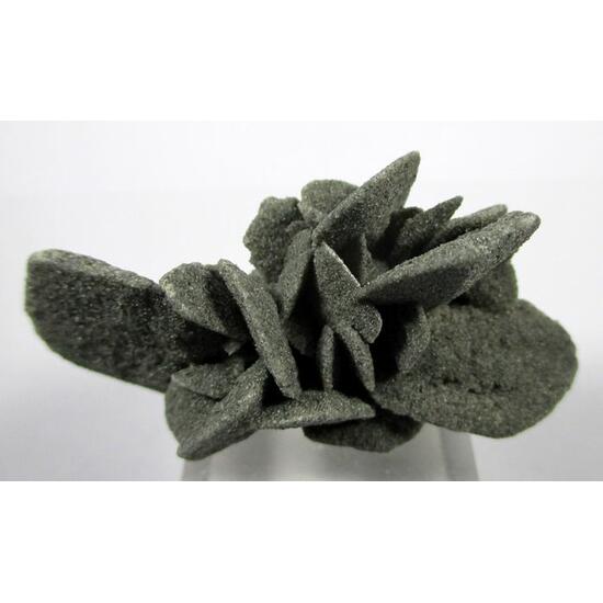 Gypsum Var Desert Rose