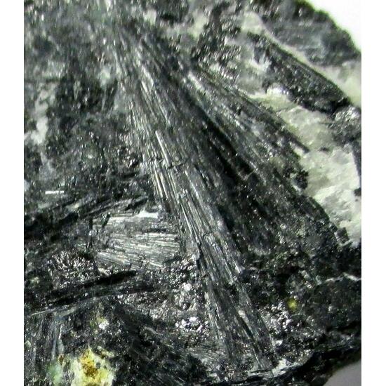 Ludwigite