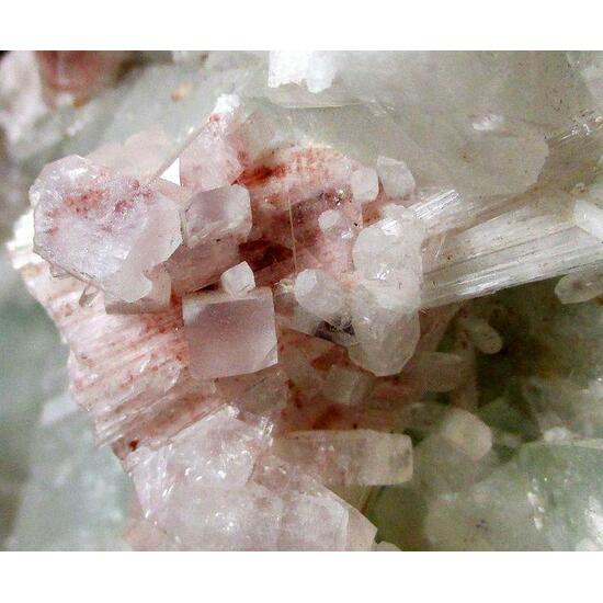 Scolecite Fluorapophyllite-(K) & Stilbite