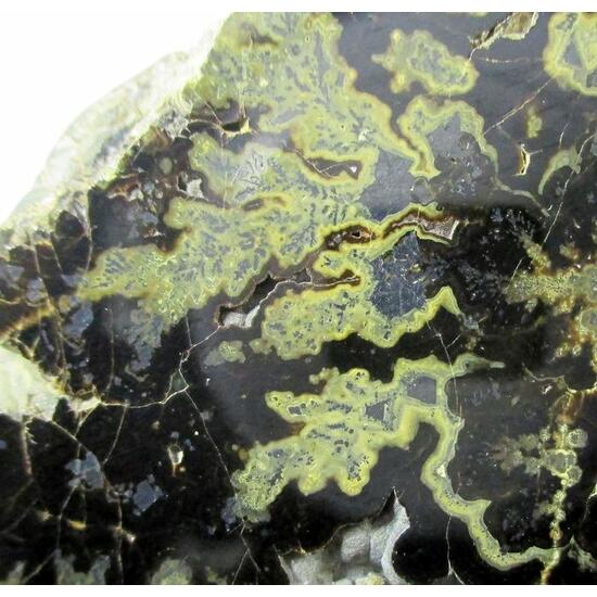 Wurtzite Galena & Sphalerite Var Schalenblende