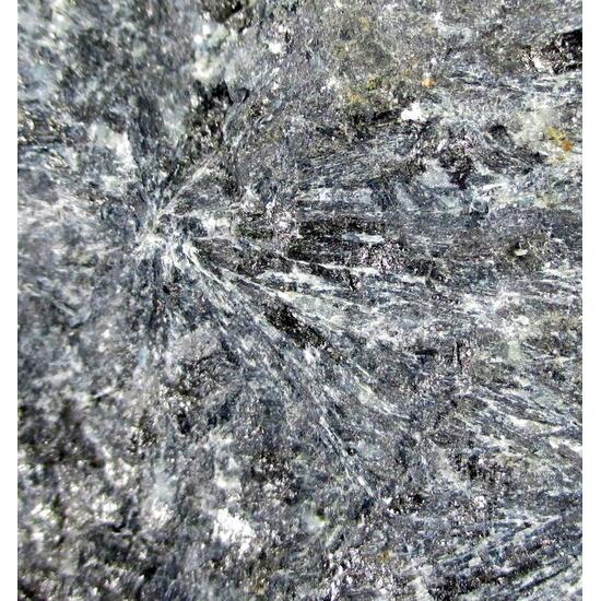 Szaibélyite Ludwigite & Magnetite