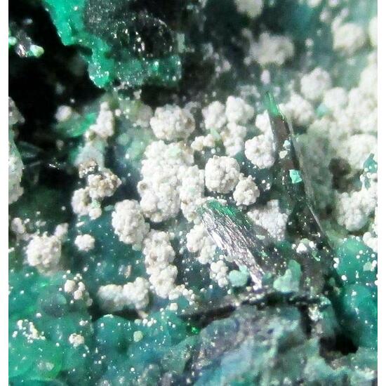 Metahalloysite Atacamite & Pseudomalachite