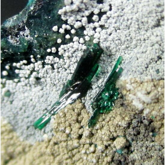 Metahalloysite Atacamite & Pseudomalachite