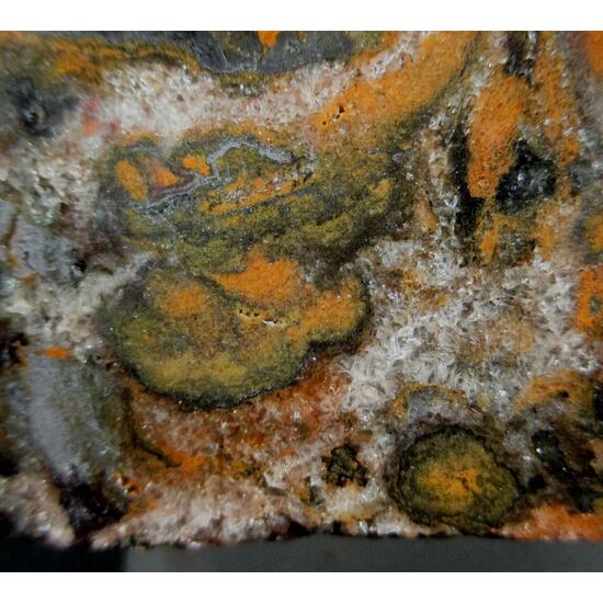Jasper Hematite & Eisenkiesel Psm Fossil Stromatolite