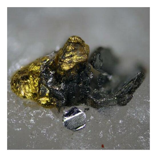 Gold On Tetradymite