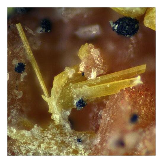 Orthowalpurgite