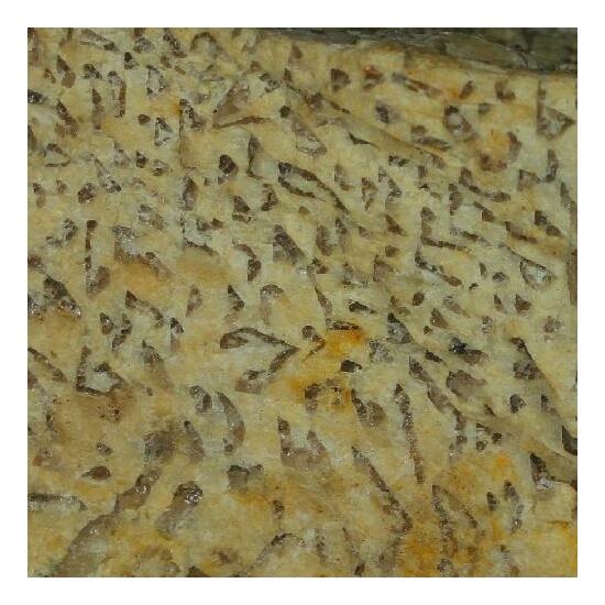 Graphic Granite