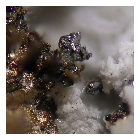 Sylvanite & Gold Var Electrum