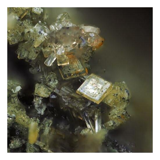 Benyacarite