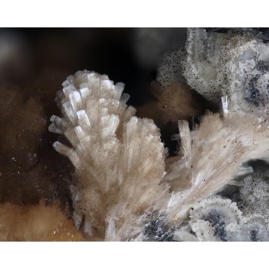 Brandtite