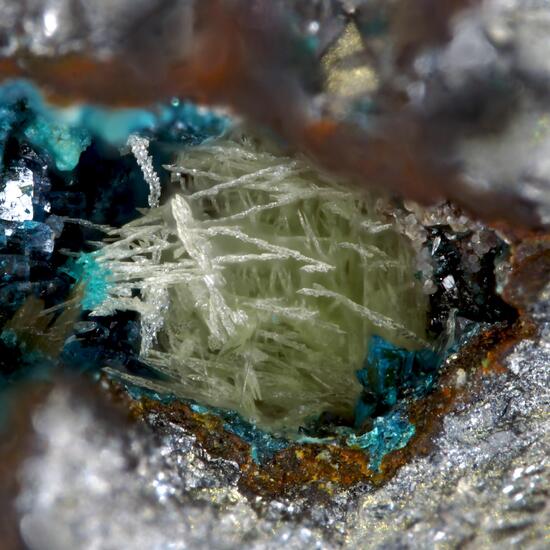 Alfredopetrovite & Molybdomenite