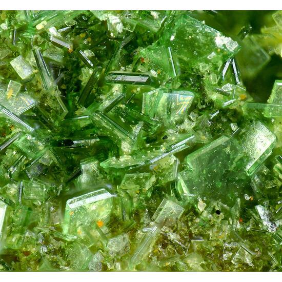 Torbernite