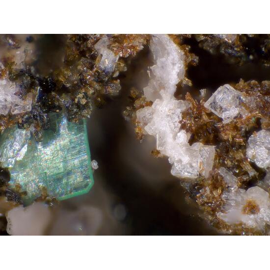 Torbernite & Benyacarite