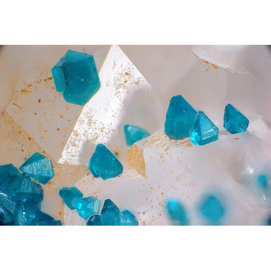 Spangolite