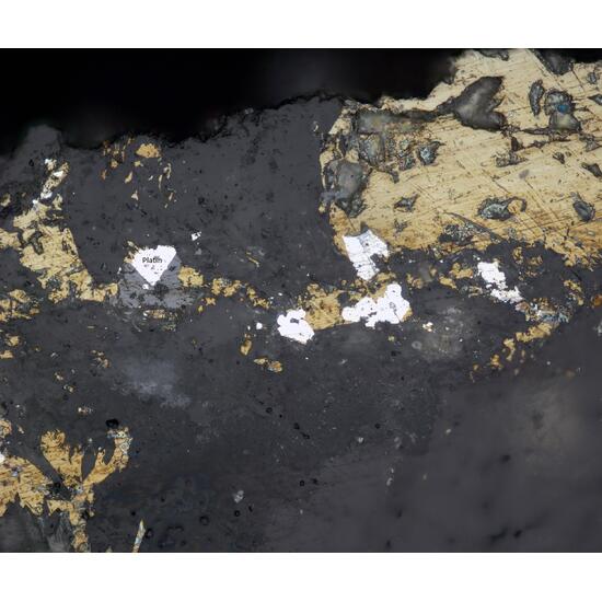 Rustenburgite Kotulskite & Platinum
