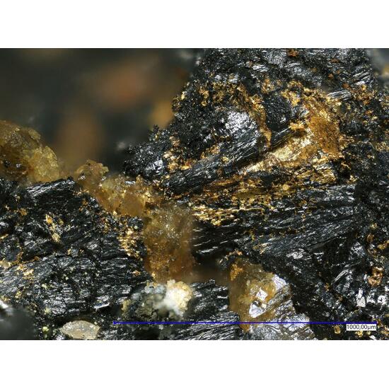 Native Gold In Uraninite