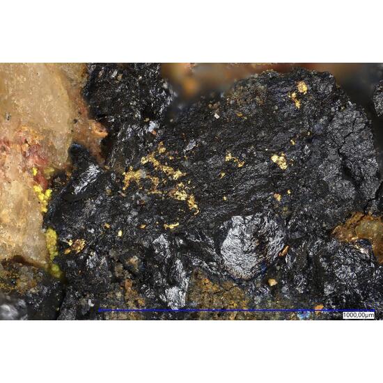 Native Gold In Uraninite