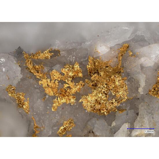 Gold Var Electrum & Hessite