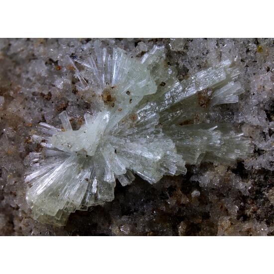 Dickthomssenite