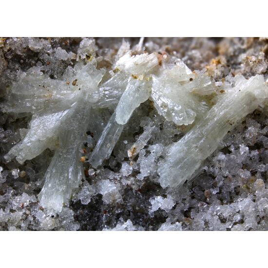 Dickthomssenite