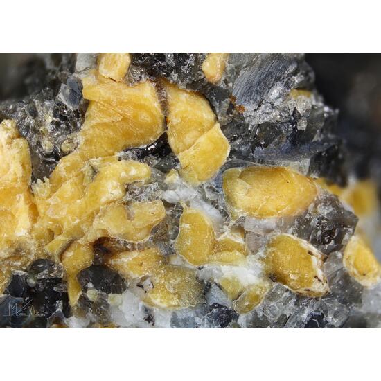 Thorogummite