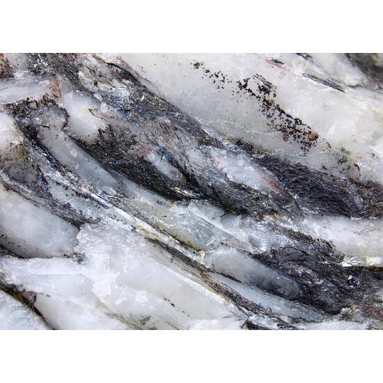 Sorbyite