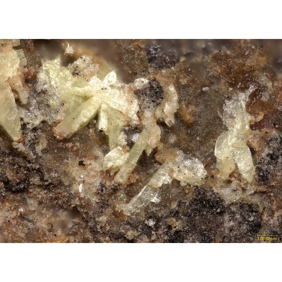 Metalodèvite