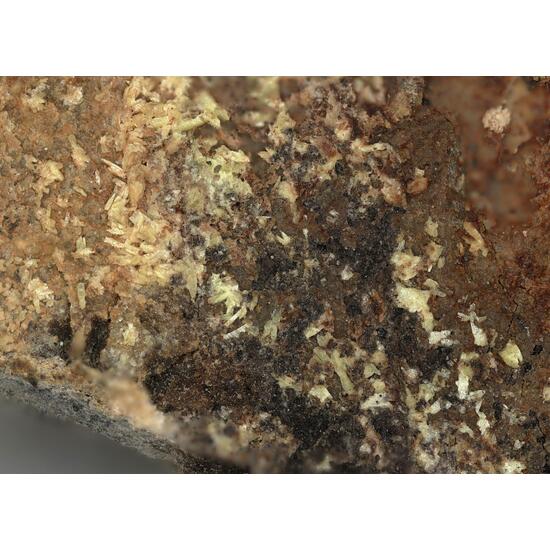 Metalodèvite