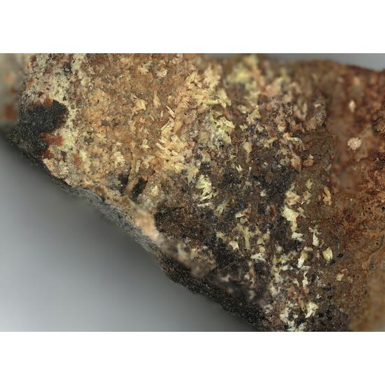 Metalodèvite