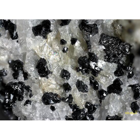Molybdophyllite
