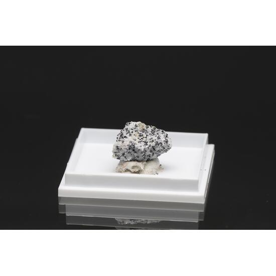 Molybdophyllite