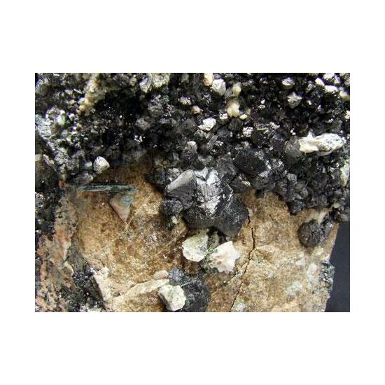 Magnetite Actinolite Andradite & Schorl