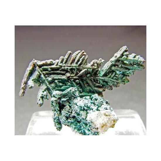 Native Copper With Paratacamite & Nantokite