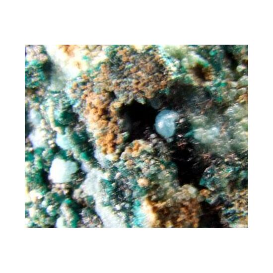 Pseudomalachite & Cuproapatite