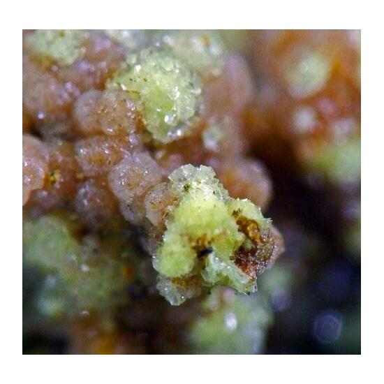 Apatite On Calcioferrite