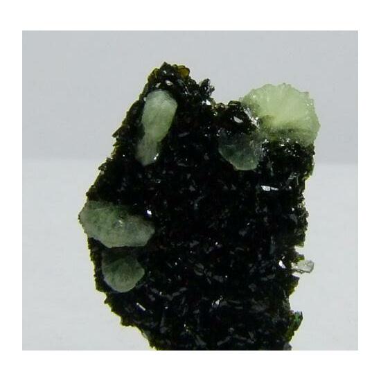 Babingtonite & Prehnite