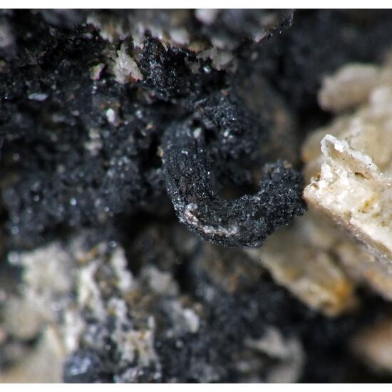 Acanthite & Native Silver In Siderite